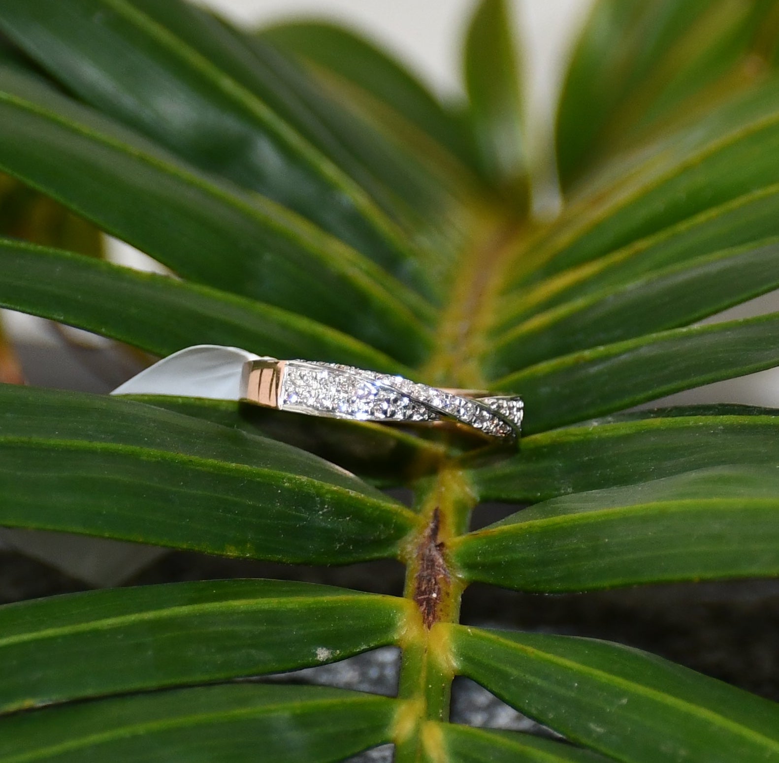 Solid Gold Diamond Twist Ring, Pave Crossover Band, Rose Gold Wedding Band