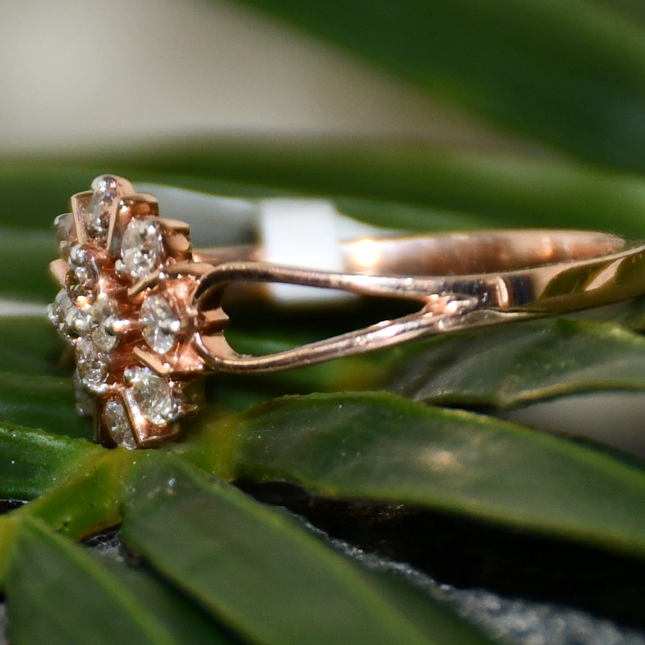 Rose gold ring with diamond accents on a green leaf