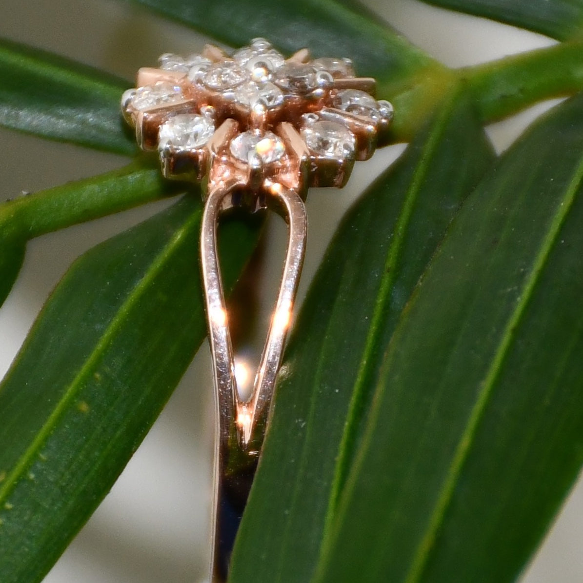 Rose gold ring with diamond accents on a green leaf background
